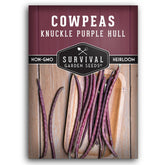 Survival Garden Seeds Knuckle Purple Hull pea pods ready for shelling and meals