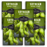 SURVIVAL GARDEN SEEDS Midori Giant soybean seed packet ready for planting in your garden.