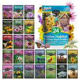 Survival Garden Seeds new england aster bloom attracts pollinators in sunny borders.
