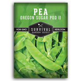 SURVIVAL GARDEN SEEDS Oregon Sugar Pod II pods on vine for fresh snacking.