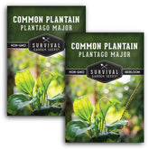 survival garden seeds plantain seeds pack beginner-friendly open-pollinated heirloom for easy planting