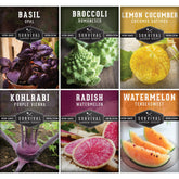 Survival Garden Seeds romanesco broccoli seed pack—adds color and texture to home gardens.