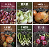 Survival Garden Seeds Ruby Red onion bulbs for long-term storage and vibrant meals.