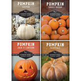 Survival Garden Seeds small sugar pumpkin packaging ideal for home gardens.