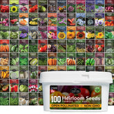 Survival Garden Seeds survival-seed-vault-kit seed packets organized for long-term storage.