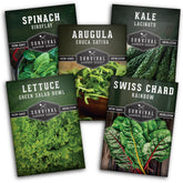 SURVIVAL GARDEN SEEDS Viroflay spinach seeds for easy home harvests and fresh salads.