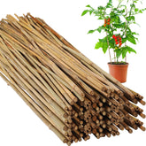 Suzile bamboo stakes 48in package ready to support tall tomato and vine plants.