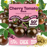 SVI Black Cherry tomato seeds pack for heirloom flavor and steady home garden growth.