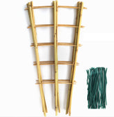 SWANGSA bamboo trellis 24 inch fan-shaped supports climbing plants for vertical growth.