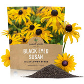 Sweet Yards Black Eyed Susan seeds extra-large packet ready to cover large garden areas.