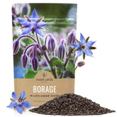 Sweet Yards Borage seeds bulk quarter-pound bag ready for planting in large plots