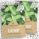 Sweet Yards catnip seeds in premium packaging, ready for easy sowing.