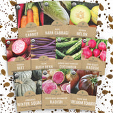 Sweet Yards Chioggia beet seed pack showing striped roots for vibrant harvests