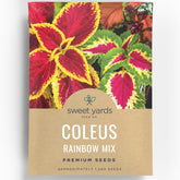 Sweet Yards Coleus Rainbow Mix seeds close-up with vibrant foliage for shaded borders.