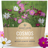 Sweet Yards Cosmos Sensation seed packet ready for a sunlit border to attract pollinators.