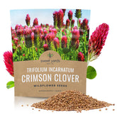 Sweet Yards Crimson Clover Seeds extra large packet ideal for cover cropping and soil health