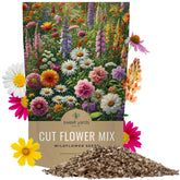 Sweet Yards cut flower seeds bulk bag ready for garden planting