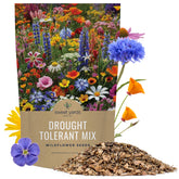 Sweet Yards drought-tolerant wildflowers mix seeds in bulk bag for vibrant dryland borders