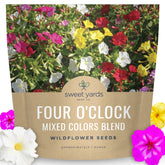 Sweet Yards Four O'Clock seed packet displaying vibrant late-day blooms