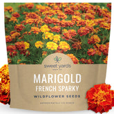 Sweet Yards Marigold French Sparky close-up of fiery bi-color blooms for vibrant color