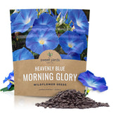 Sweet Yards Heavenly Blue morning glory seeds in a packet ready for garden coverage