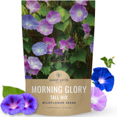 Sweet Yards Morning Glory Tall Mix seeds in a 4-ounce pouch for quick vertical color.
