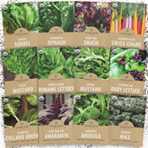 Sweet Yards organic greens seed pack 12 for indoor and outdoor gardening.