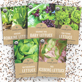 Sweet Yards Organic Buttercrunch seed pack for crisp garden salads