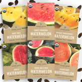 Sweet Yards organic watermelon seeds pack front for diverse garden harvests this season.