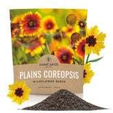 Sweet Yards Plains Coreopsis seeds in an extra-large packet for easy sowing.