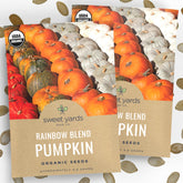 Sweet Yards Rainbow Pumpkin Seeds pack front view with premium packaging.