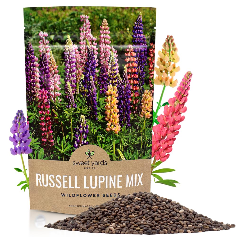 Sweet Yards Russell Lupine seeds bulk packet ready for easy sowing and garden coverage.