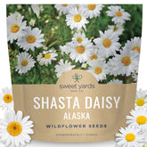 Sweet Yards Shasta Daisy Alaska seed packet 1oz, ideal for a sunny border.