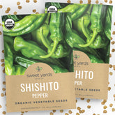 Sweet Yards Shishito seeds, two packets, ready for staggered planting