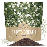 SWEET YARDS Showy Baby's Breath seeds bulk bag ready for planting and coverage