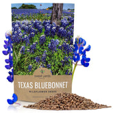Sweet Yards Texas Bluebonnet seeds bulk bag ready for planting.