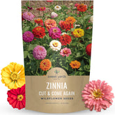 Sweet Yards Zinnia Cut & Come Again blooms in closeup, vivid colors ideal for fresh bouquets.