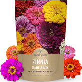 Sweet Yards zinnia-dahlia mix seed pouch - easy bulk planting for vibrant 500 sq ft display
