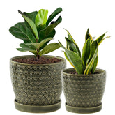 Swicken plant pot with green reactive glaze, stylish indoor decor
