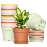 SwinDuck 20-pack 6-inch pots with drainage holes and saucers for indoor and outdoor plants.