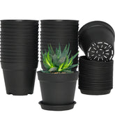 SwinDuck 4-inch pot with saucer for indoor plants and drainage.