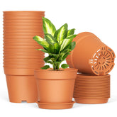 SwinDuck 6-inch pot showing drainage holes for healthy roots