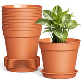 SwinDuck 6-inch plant pot with drainage for healthy roots and easy watering