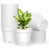 SwinDuck 6 inch plant pot with drainage holes and matching saucer for mess-free watering.
