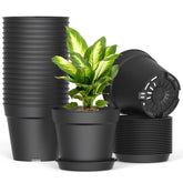 Swinduck 6inch pot with drainage and saucer promotes healthy roots and easy water management.
