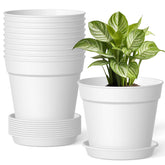 SwinDuck 6-inch pot with drainage promotes airflow for healthy roots.