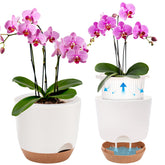 Sxueg 5.8-inch self-watering orchid pot with moisture control for indoor plants.