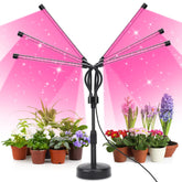 SYEIORAOM six head grow light with full spectrum for seedlings.