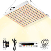SZHLUX 500W grow light front view highlighting even light distribution for uniform seedling growth