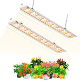 SZHLUX 4ft full-spectrum grow light panel supports healthy seedling growth.